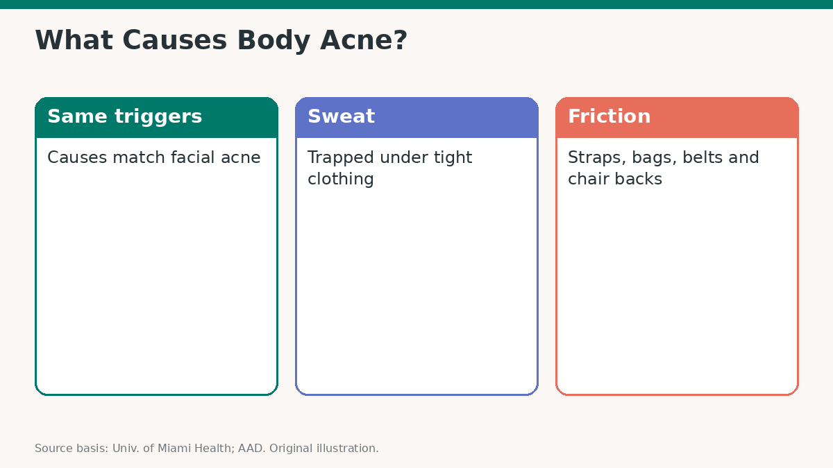 Chest and Back Acne: Why It Appears and What Helps